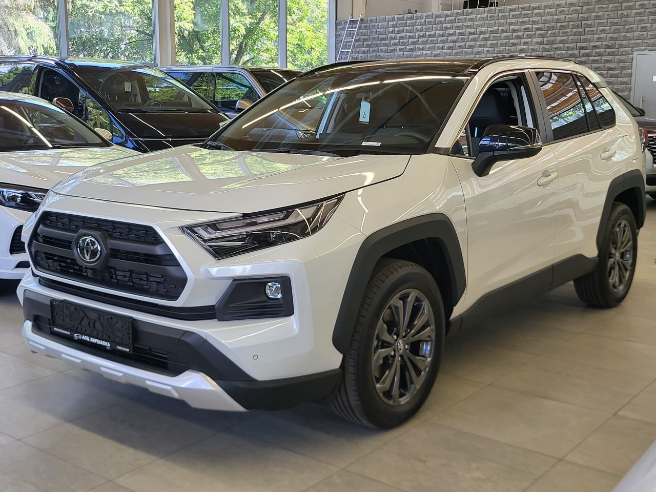 Спецпредложение