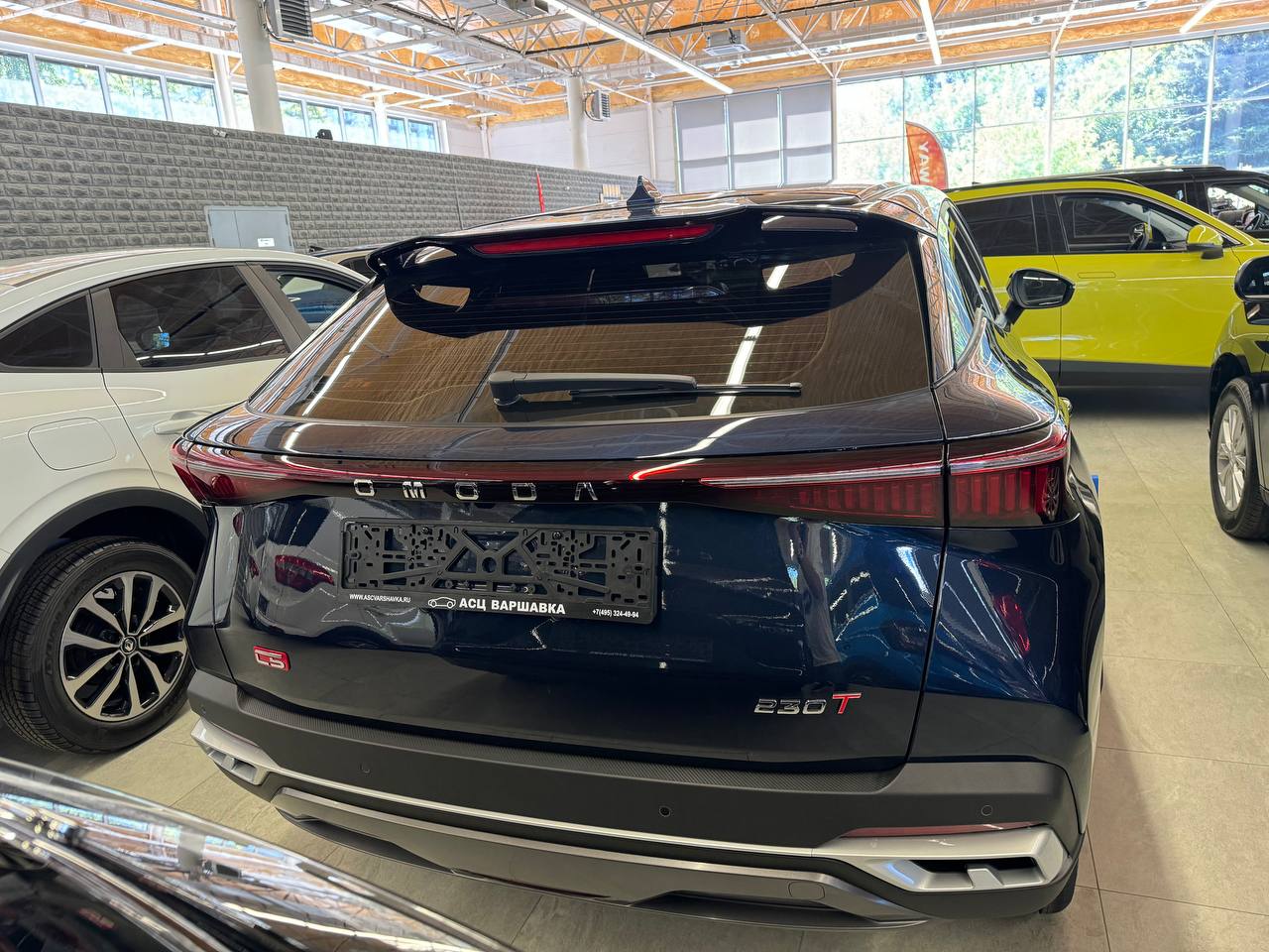 Спецпредложение